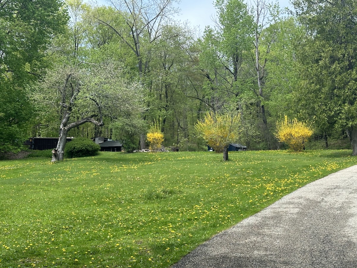 4. Upper parking lot