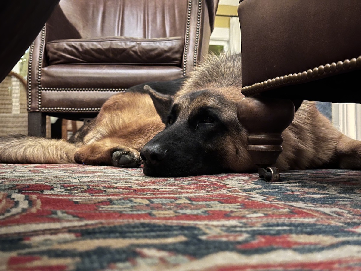 Max